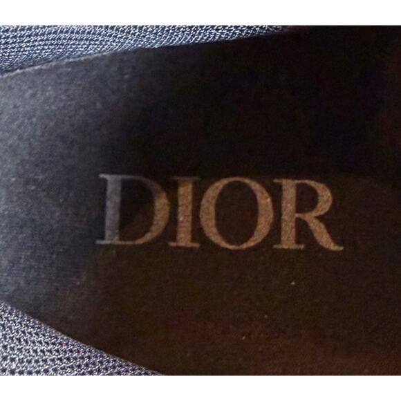 Size 46EU/13US- Dior X Peter Doig B22 Trainers
